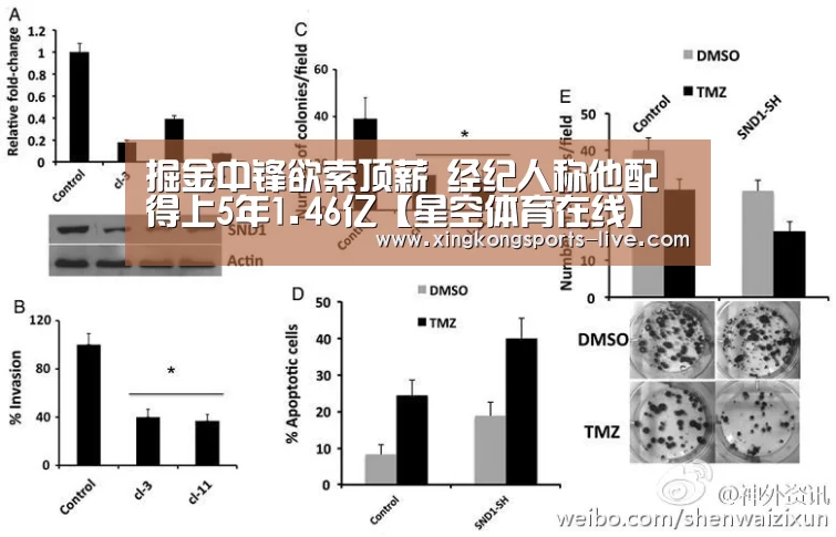 星空体育下载